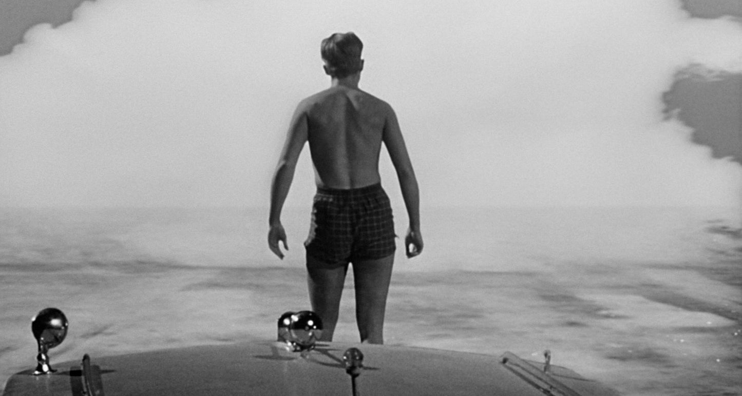 The Incredible Shrinking Man [Criterion Collection] [Blu-ray]