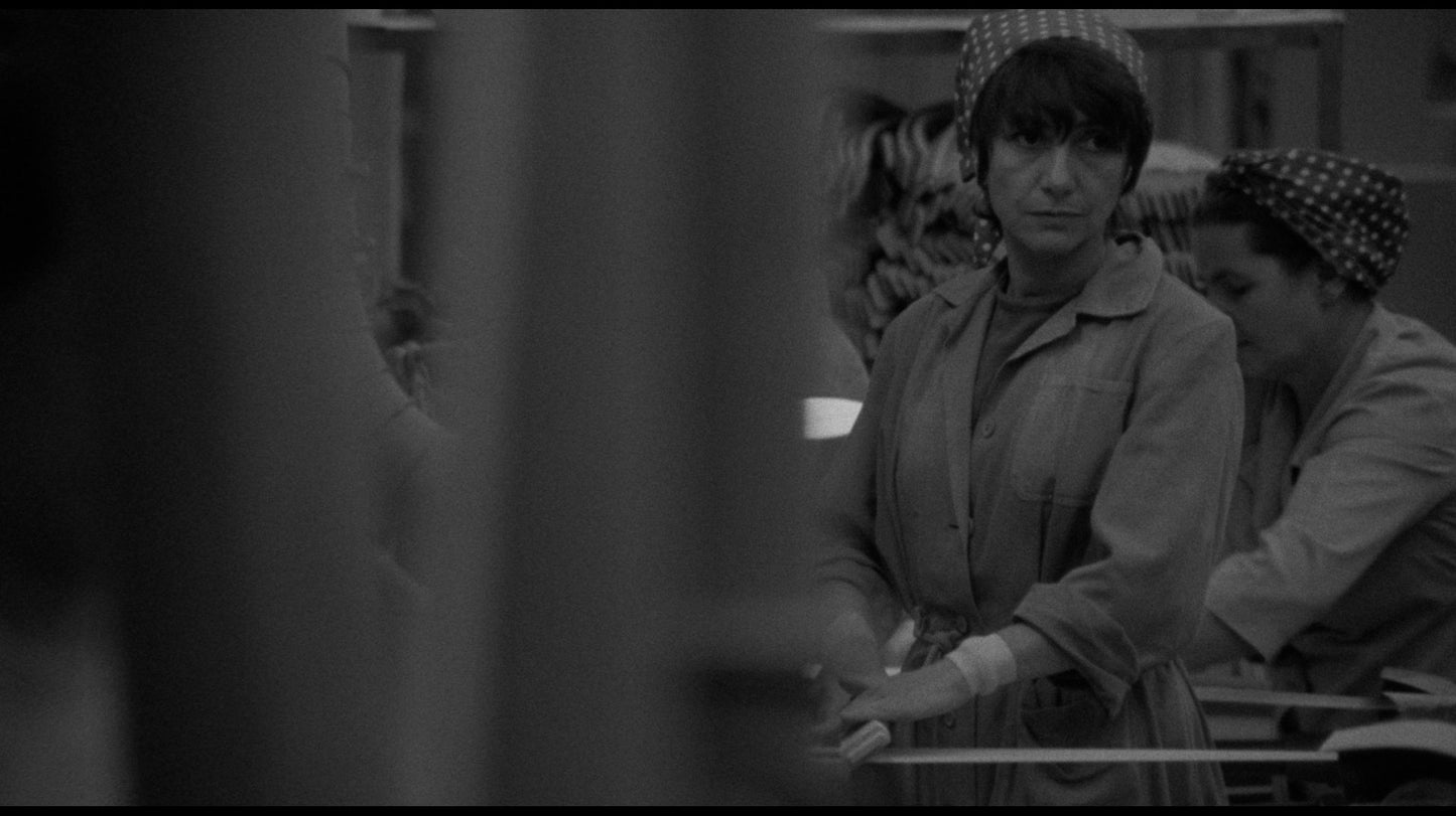 Adoption [Criterion Collection]