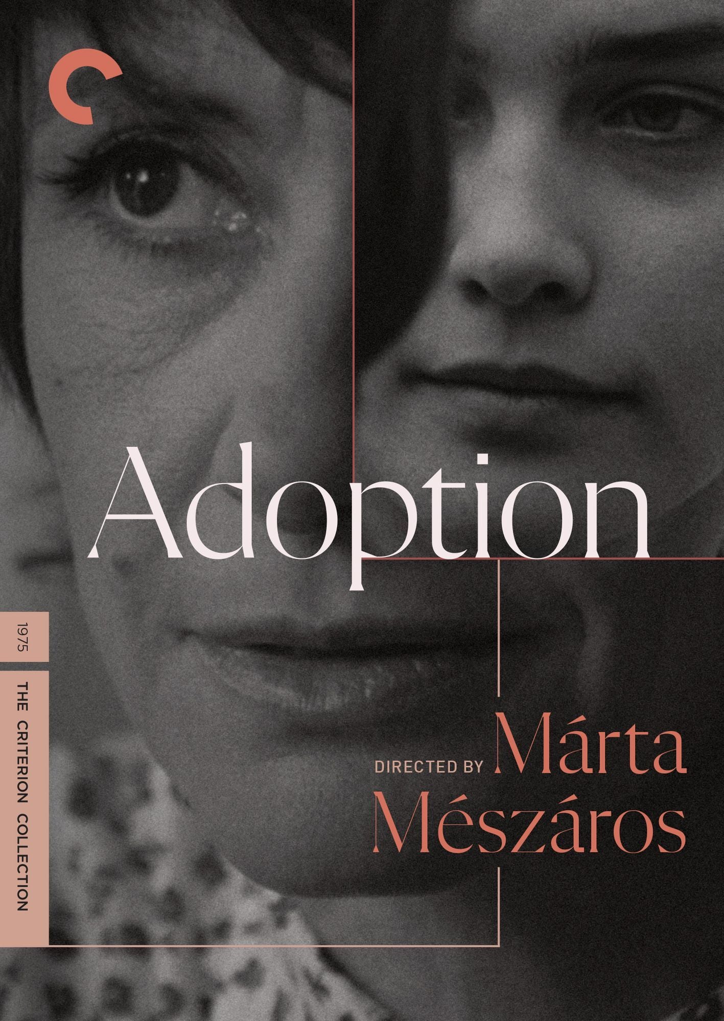 Adoption [Criterion Collection]