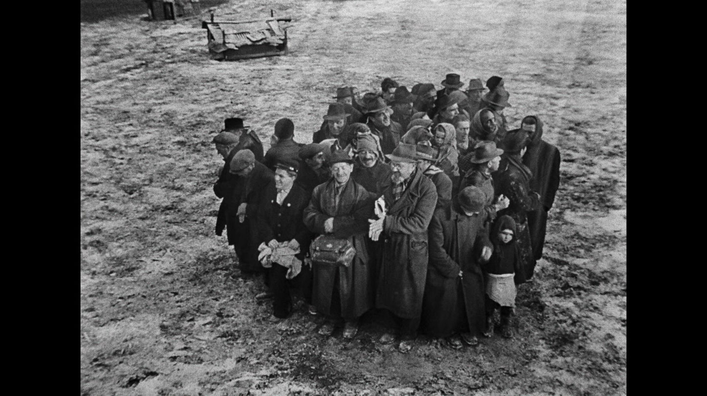 Miracle in Milan [Criterion Collection] [Blu-ray]