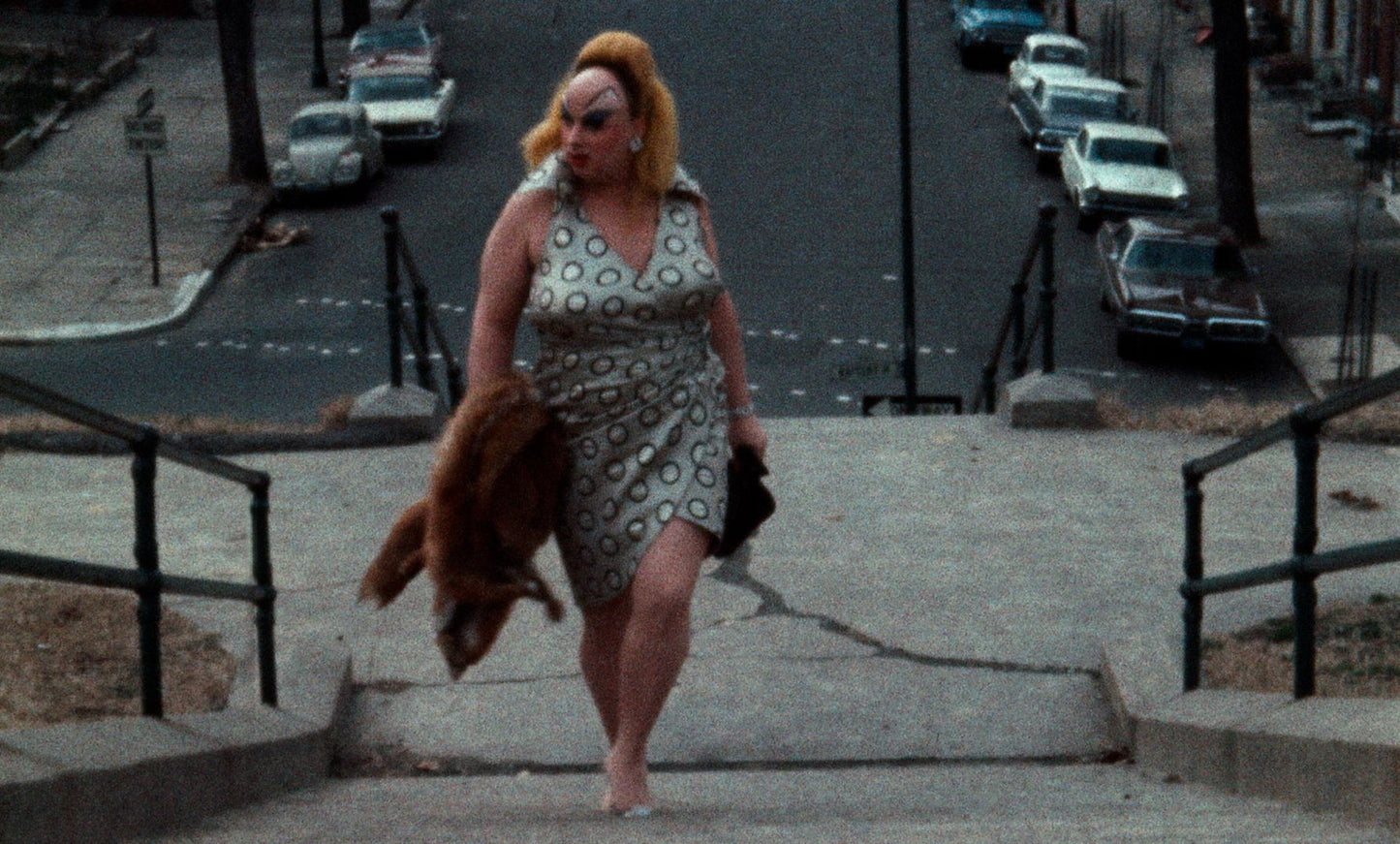 Pink Flamingos [Criterion Collection] [Blu-ray]