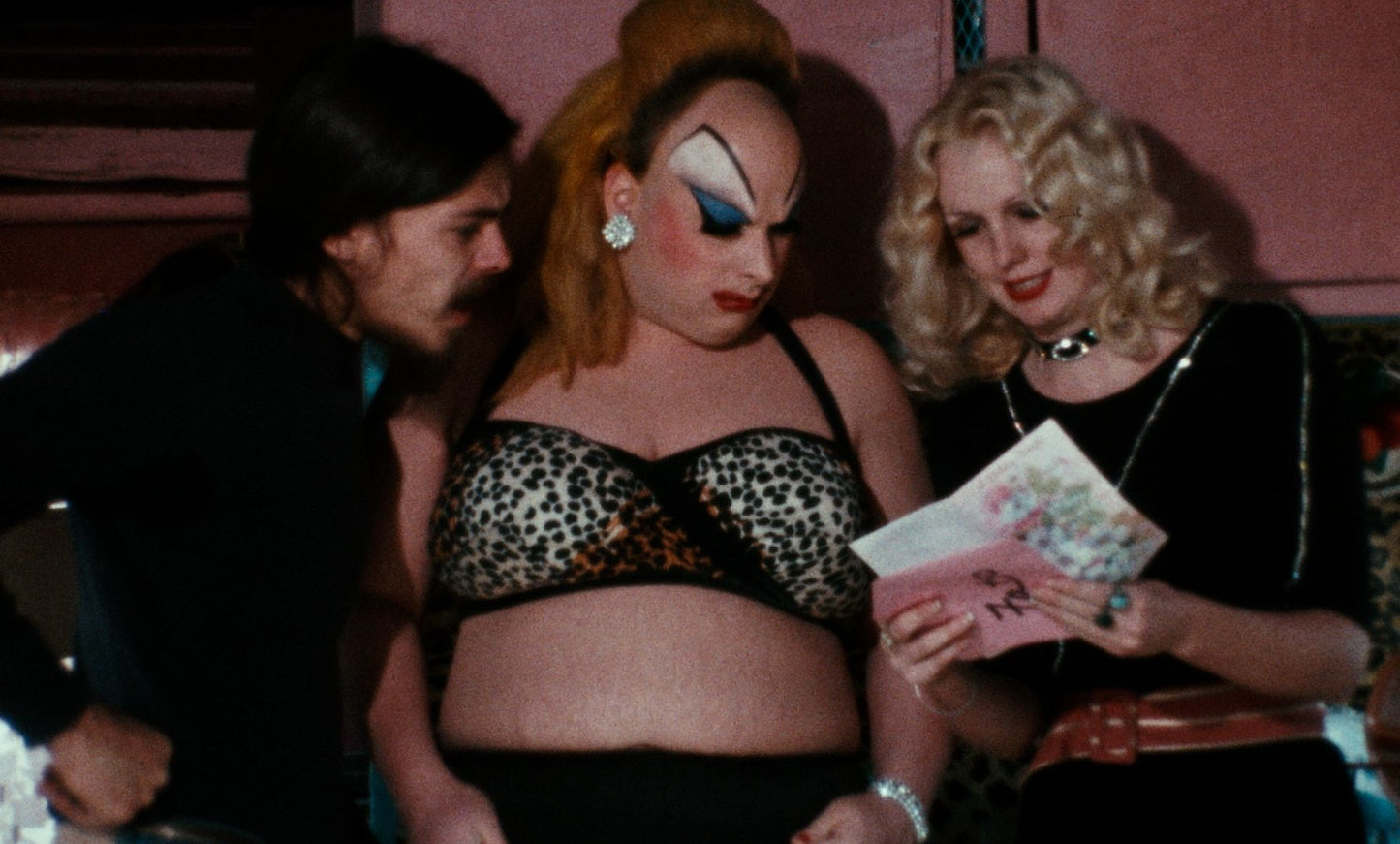 Pink Flamingos [Criterion Collection] [Blu-ray]