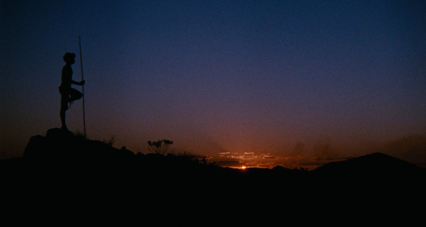 Walkabout [4K Ultra HD Blu-ray/Blu-ray] [Criterion Collection]