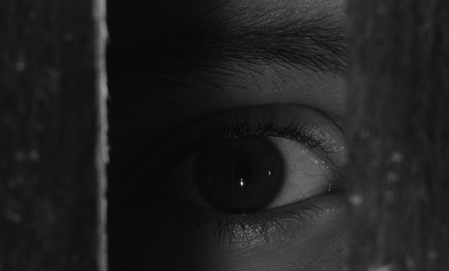 The Trial [4K Ultra HD Blu-ray/Blu-ray] [Criterion Collection]