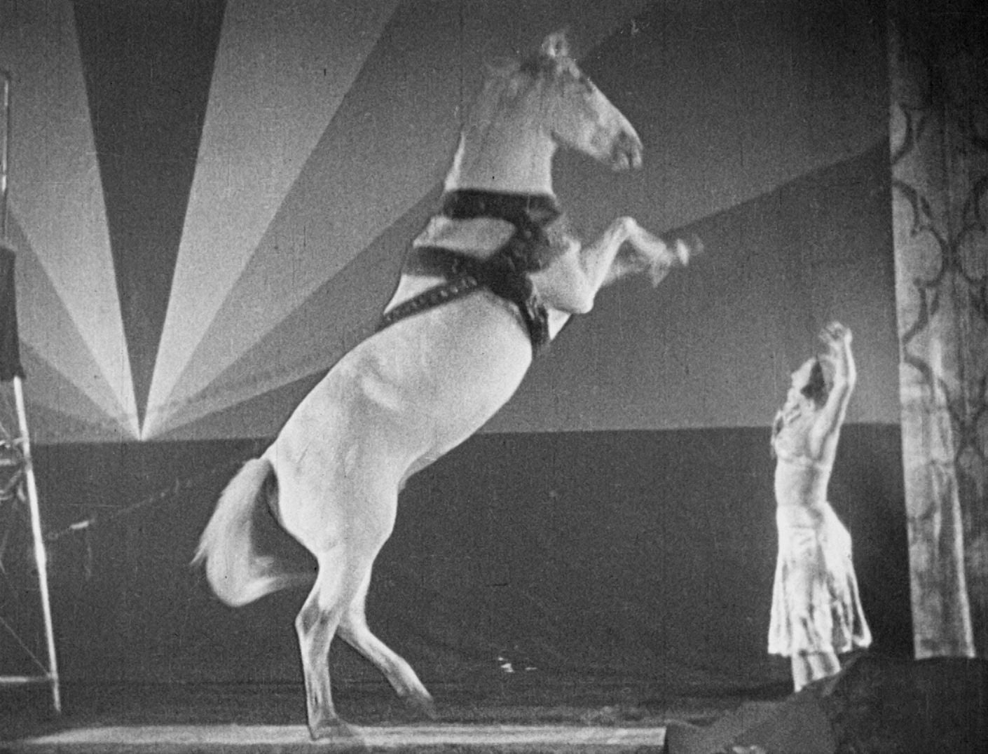 Freaks/The Unknown/The Mystic: Tod Browning?s Sideshow Shockers [Criterion Collection] [Blu-ray]
