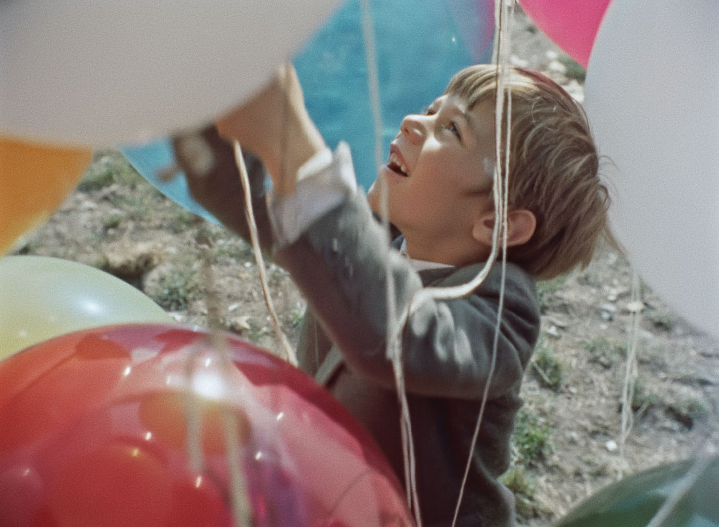 Red Balloon & Other Stories: Five Films By Albert