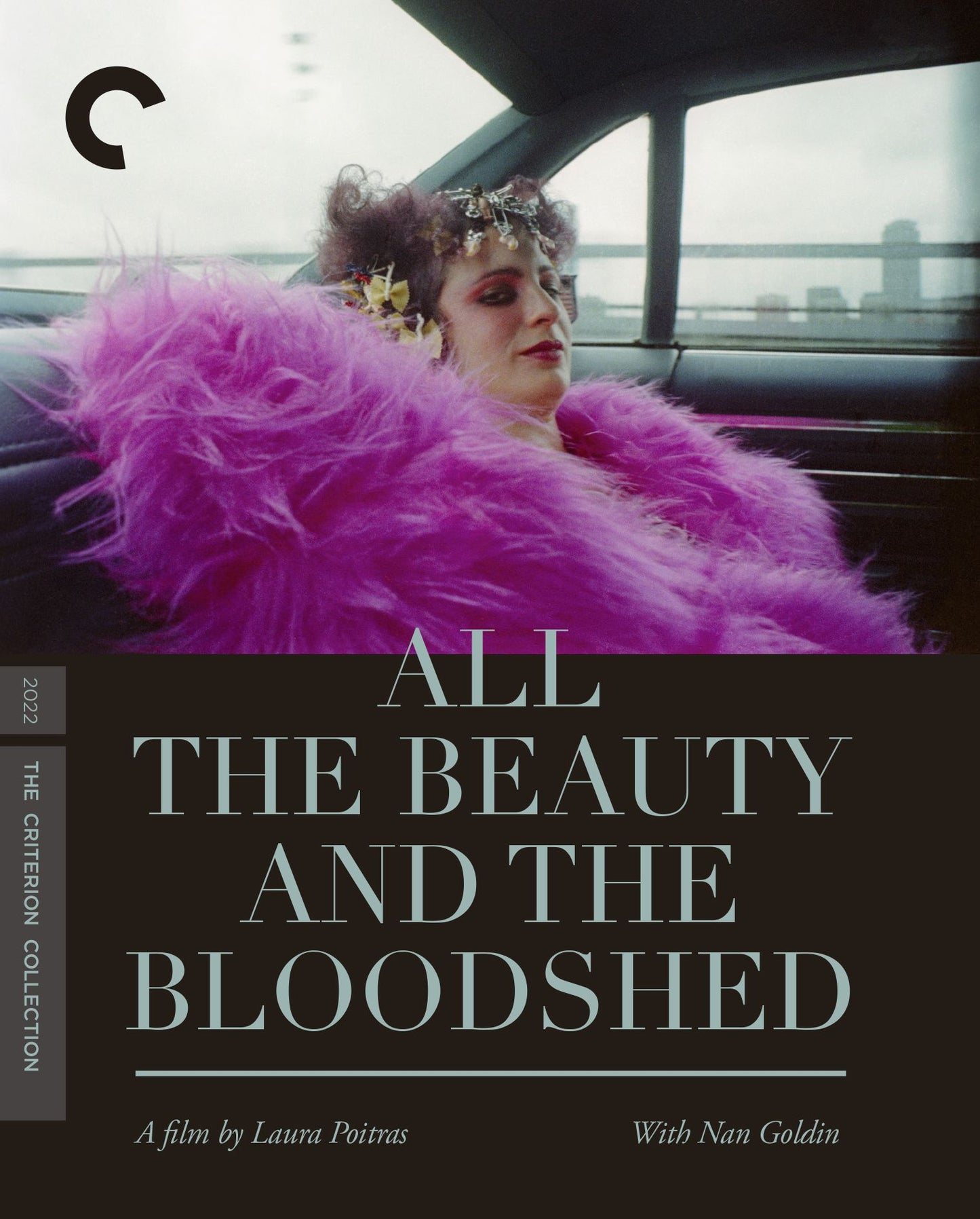 All The Beauty & The Bloodshed