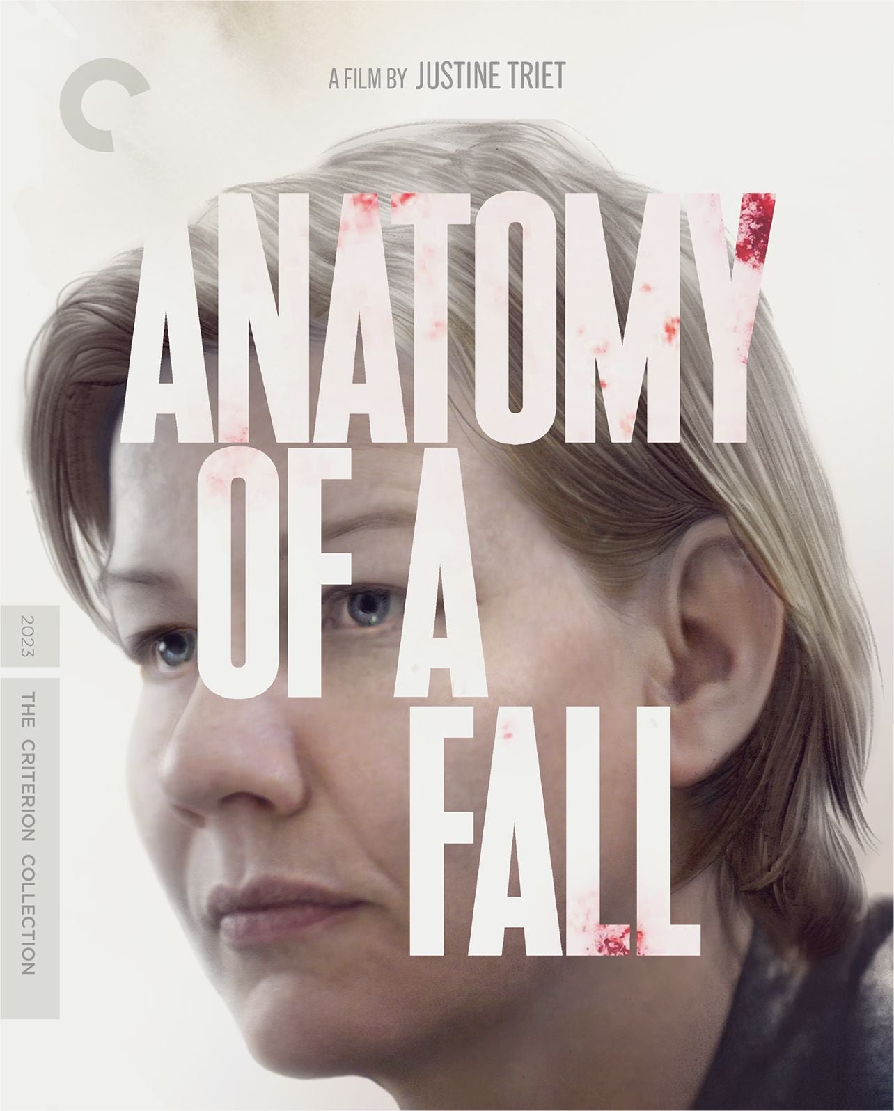 Anatomy Of A Fall