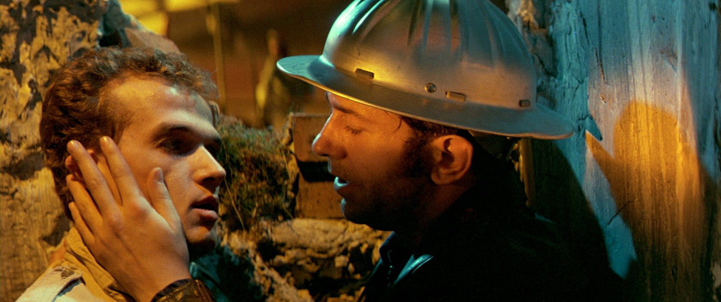 Querelle