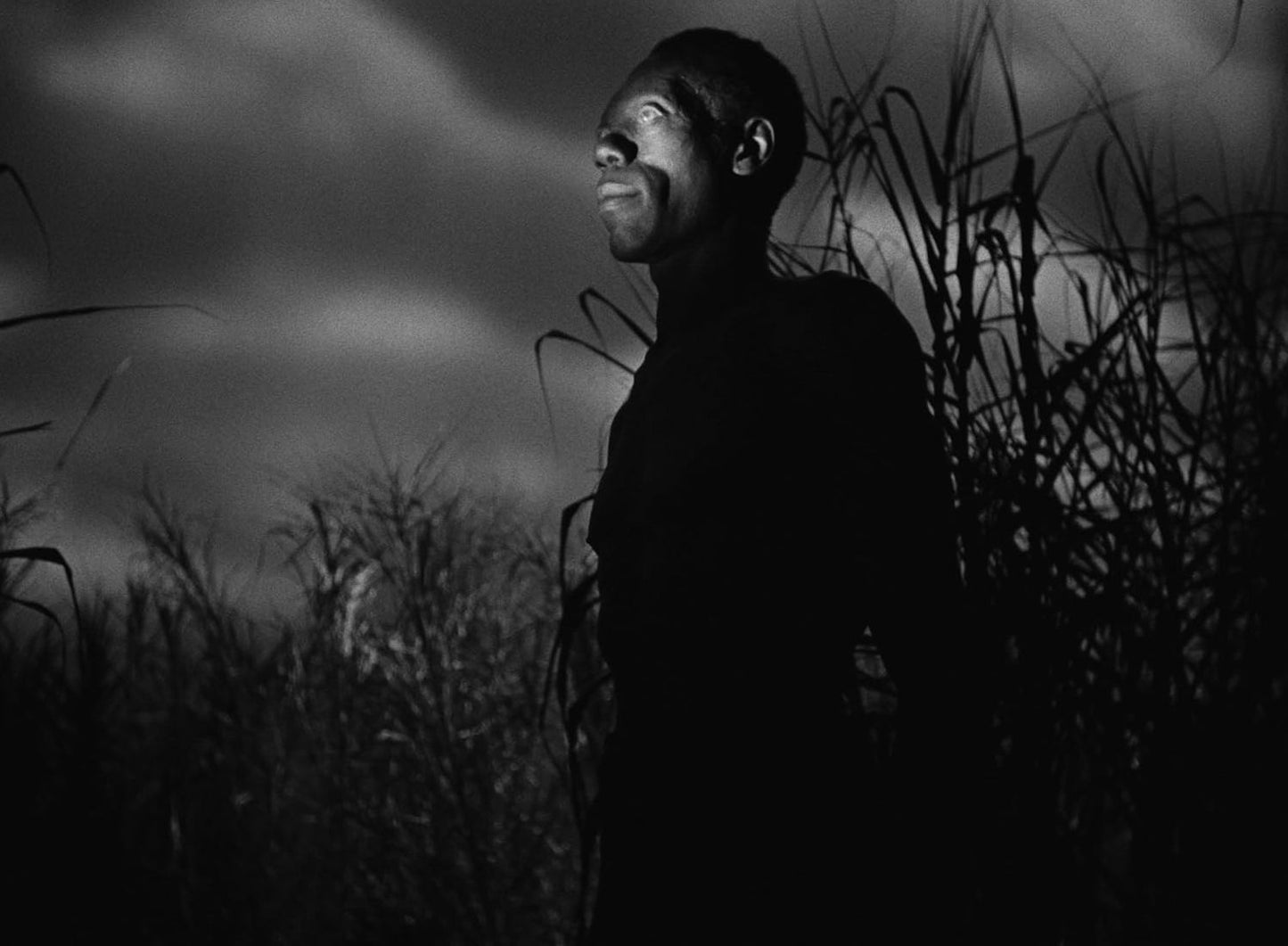 I Walked With A Zombie / Seventh Victim: Produced