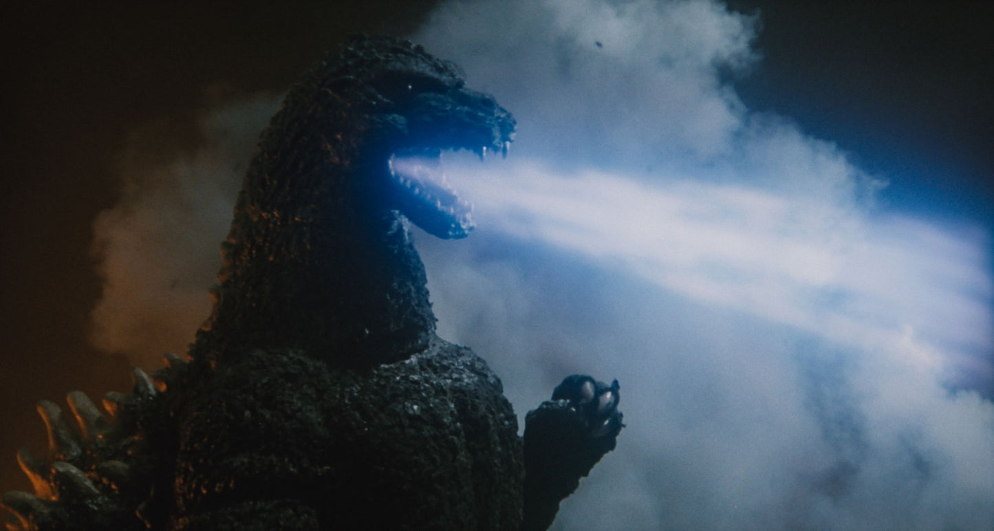 Godzilla Vs Biollante