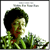 Violets For Your Furs