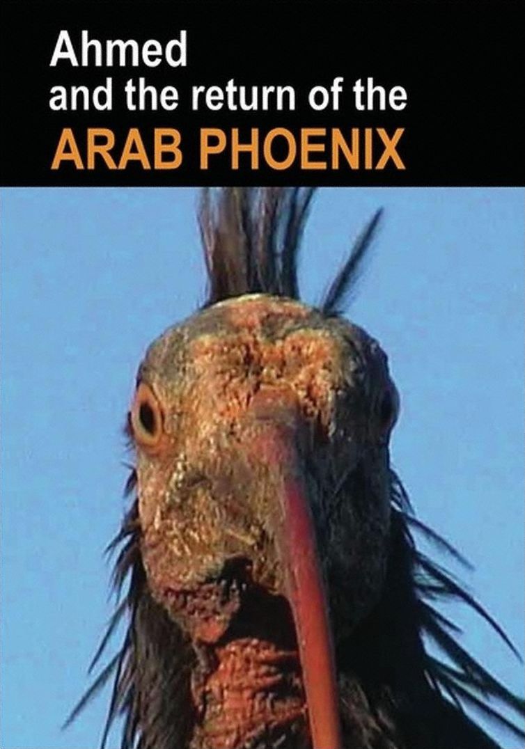 Ahmed & The Return Of The Arab Phoenix