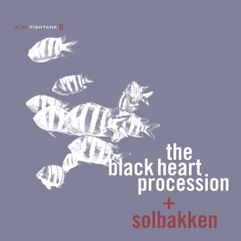 In The Fishtank, Vol. 11