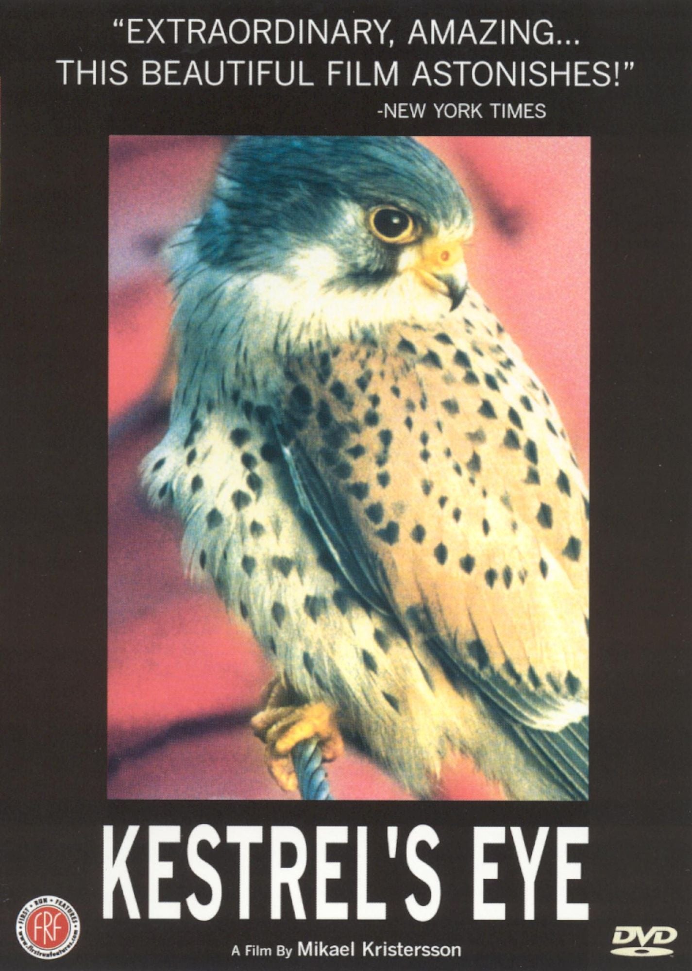 Kestrel's Eye