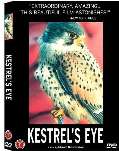 Kestrel's Eye