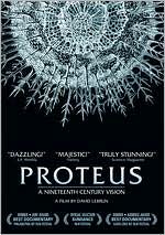 Proteus
