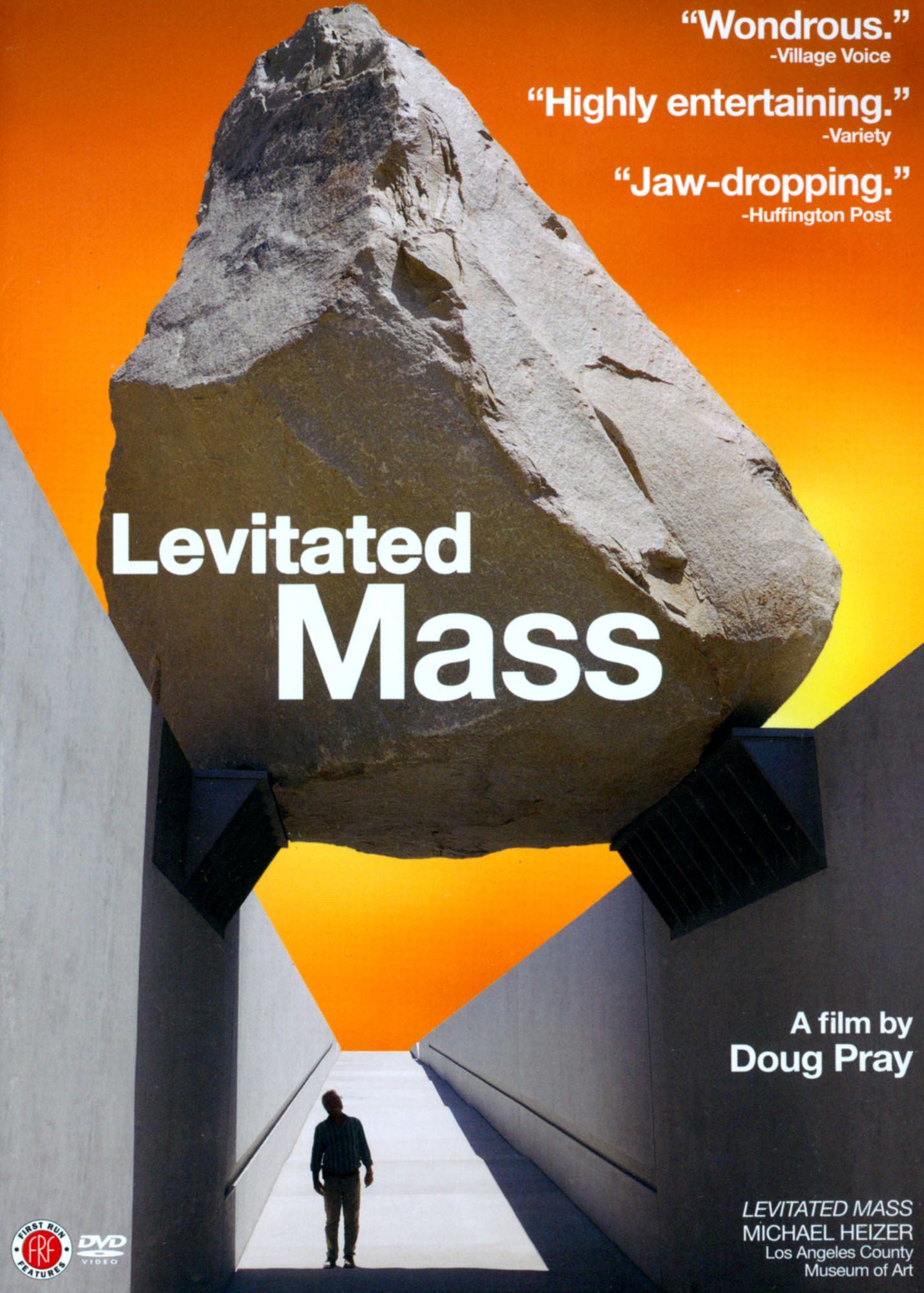 LEVITATED MASS / (WS)