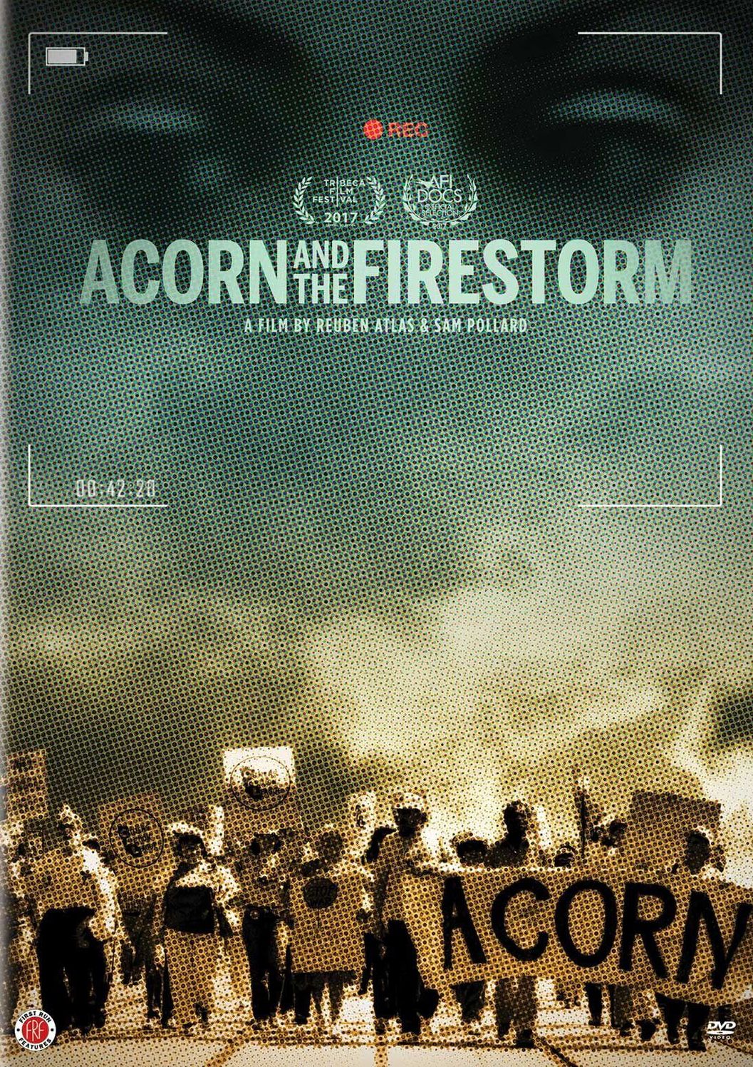 Acorn and the Firestorm