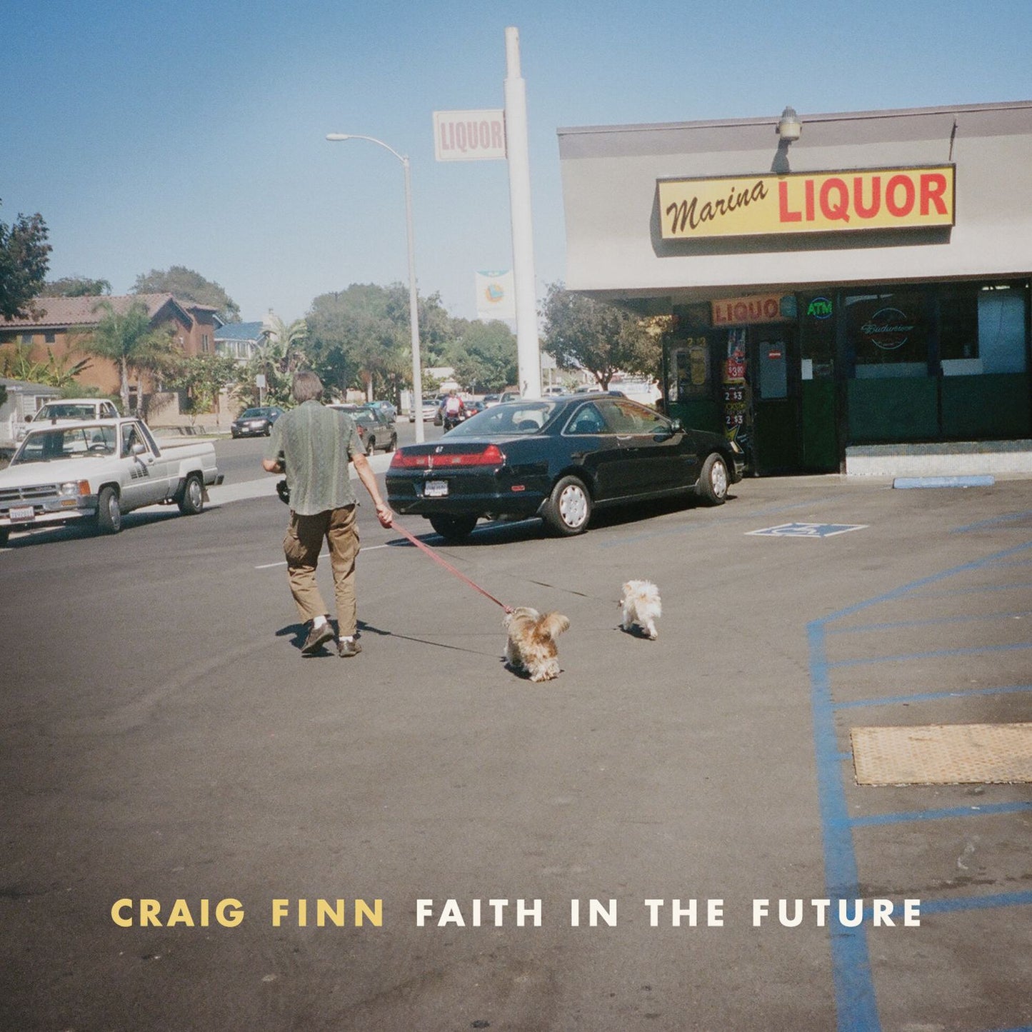 Faith In The Future [Lp]