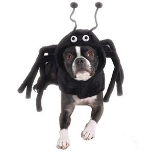 Pet Pals ZA641 24 Casual Canine Spidey Paws Costume Xlg