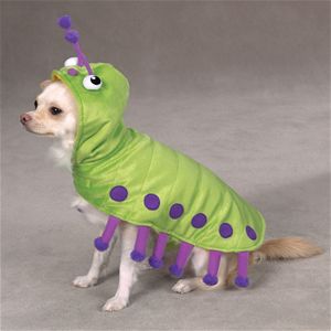 Pet Pals US989 20 Zack &amp; Zoey Cutiepillar Costume Lrg