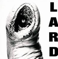 Power of Lard [EP]