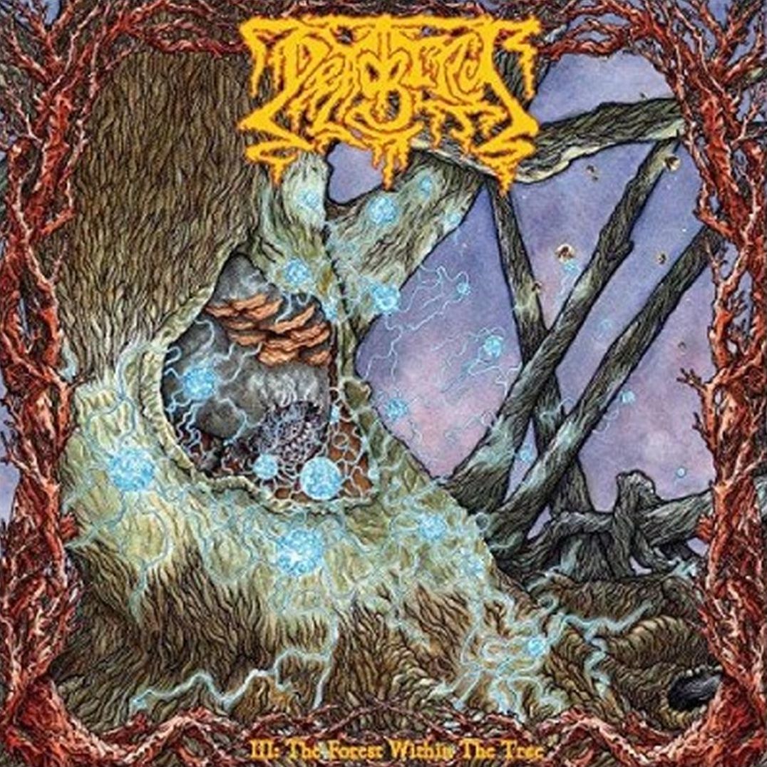 III: The Forest Within the Tree
