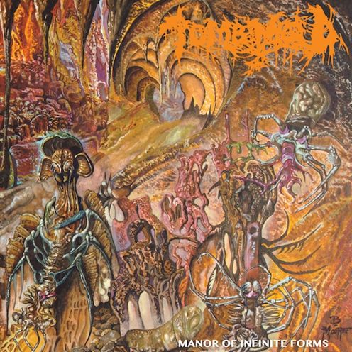 Manor Of Infinite Forms (Tomb Mold)