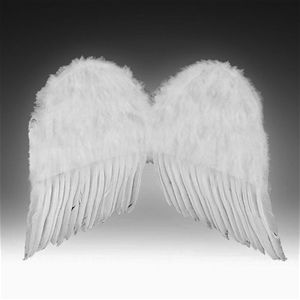 Forum Novelties Inc 9310 Child Feather Wings Black