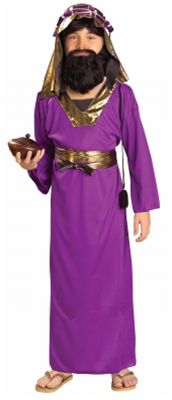 Forum Novelties 196284 Purple Wiseman Child Costume