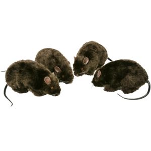 Forum Novelties 196348 6 in. Furry Rat- 1 count