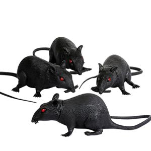 Forum Novelties 196347 6 in. Plastic Rat- 1 count