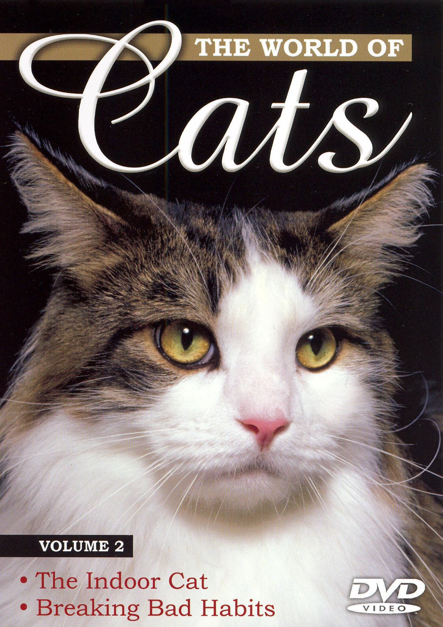The World of Cats, Vol. 2
