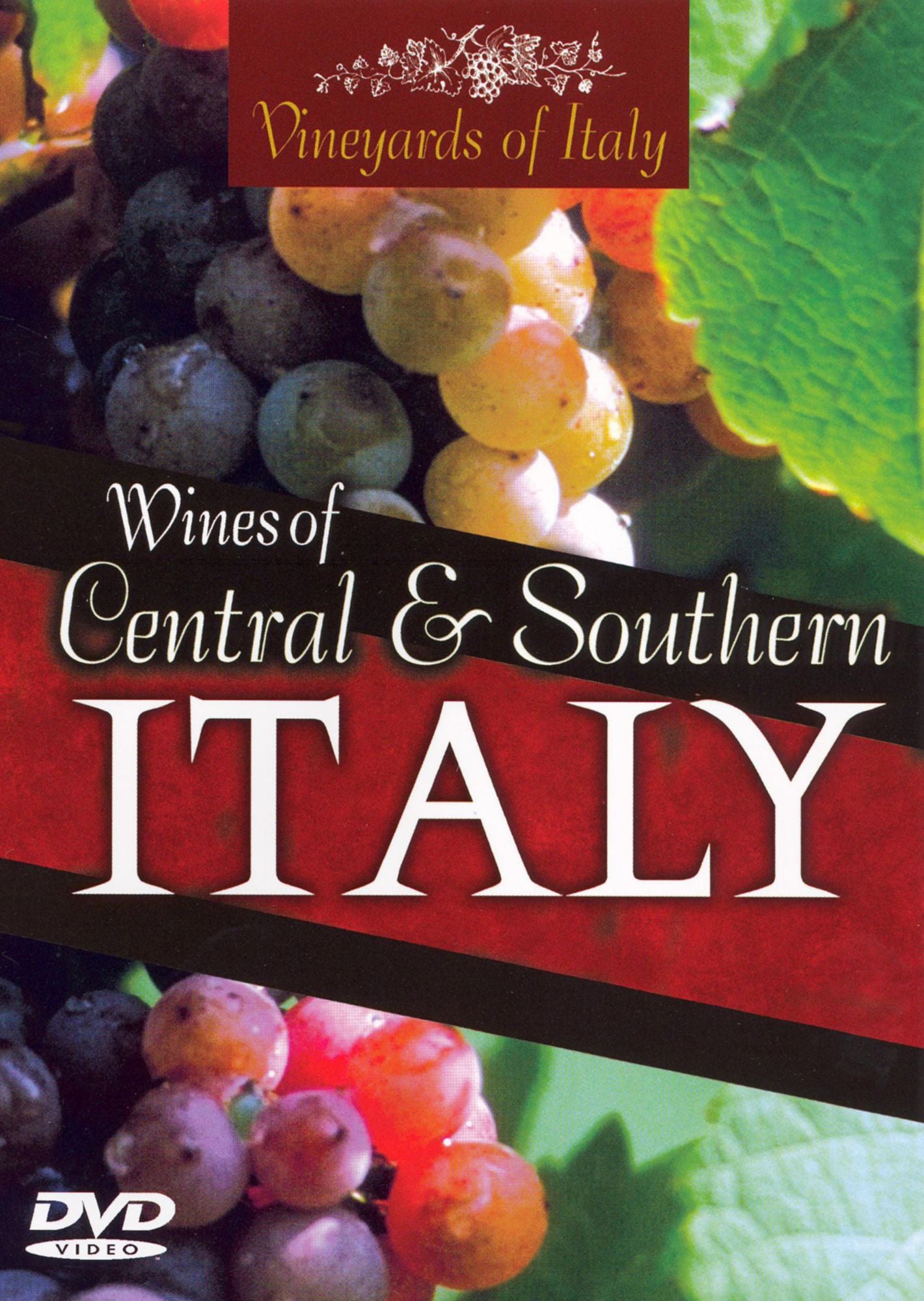 Wines of Central and Southern Italy