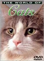 The World of Cats: Understanding Your Cat