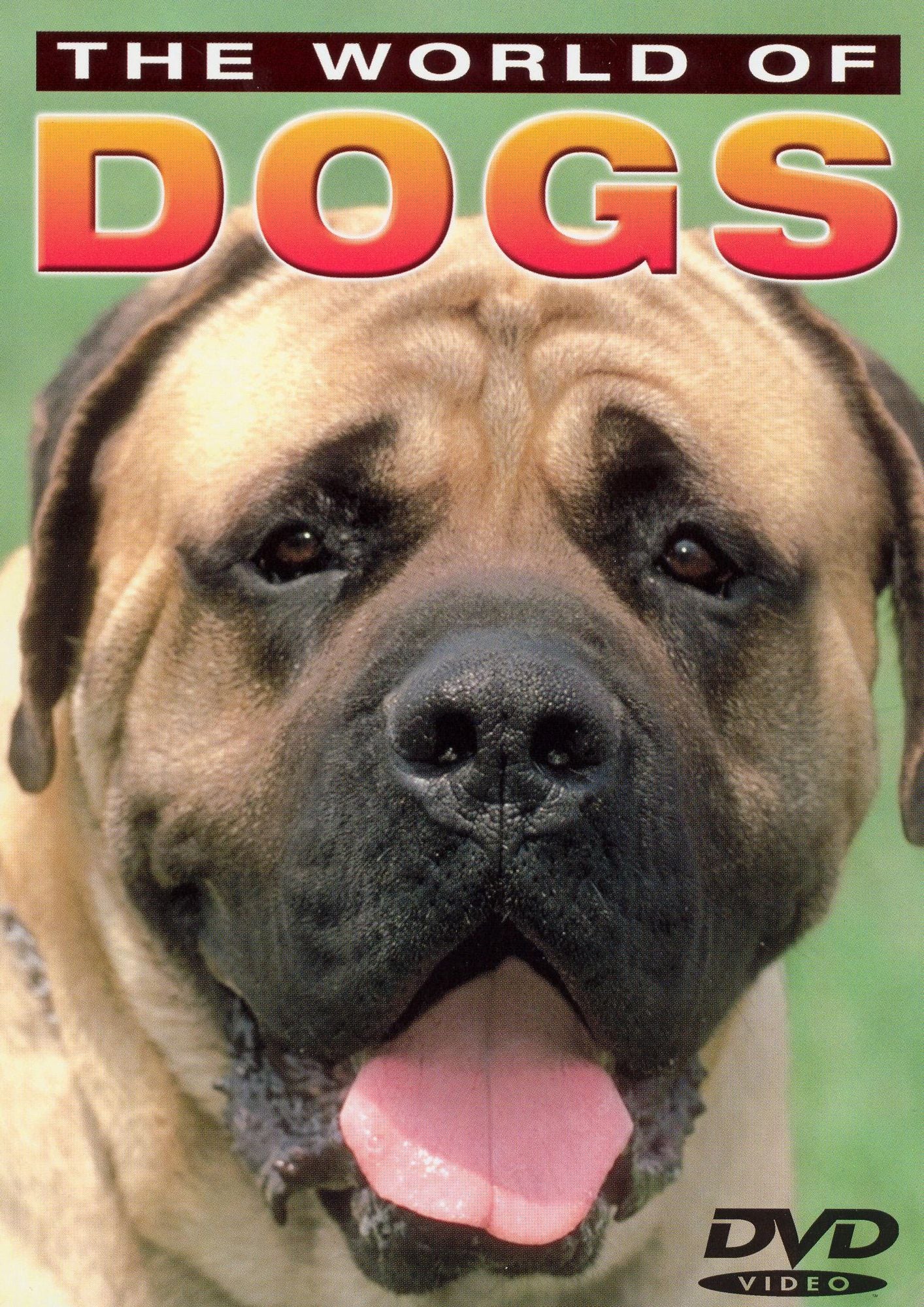 The World of Dogs: Basic Dog Training