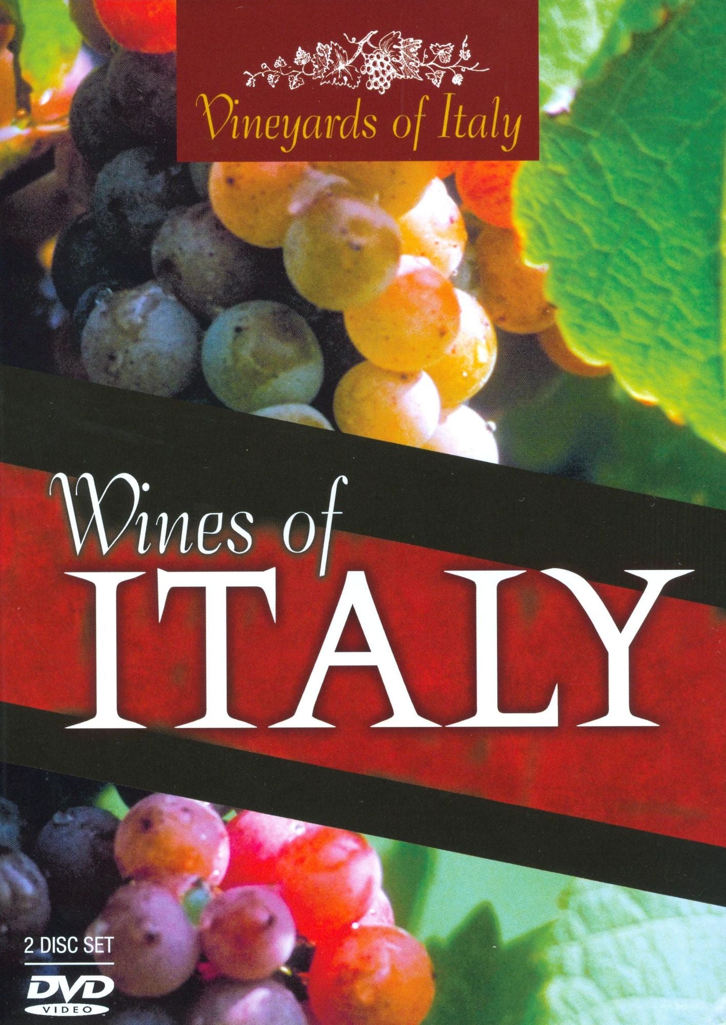 Vineyards of Italy