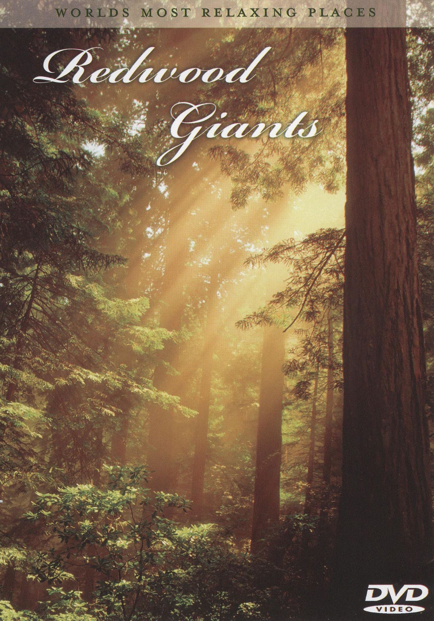 World's Most Relaxing Places: Redwood Giants