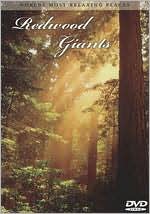 World's Most Relaxing Places: Redwood Giants