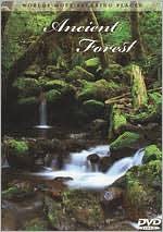 World's Most Relaxing Places: Ancient Forest
