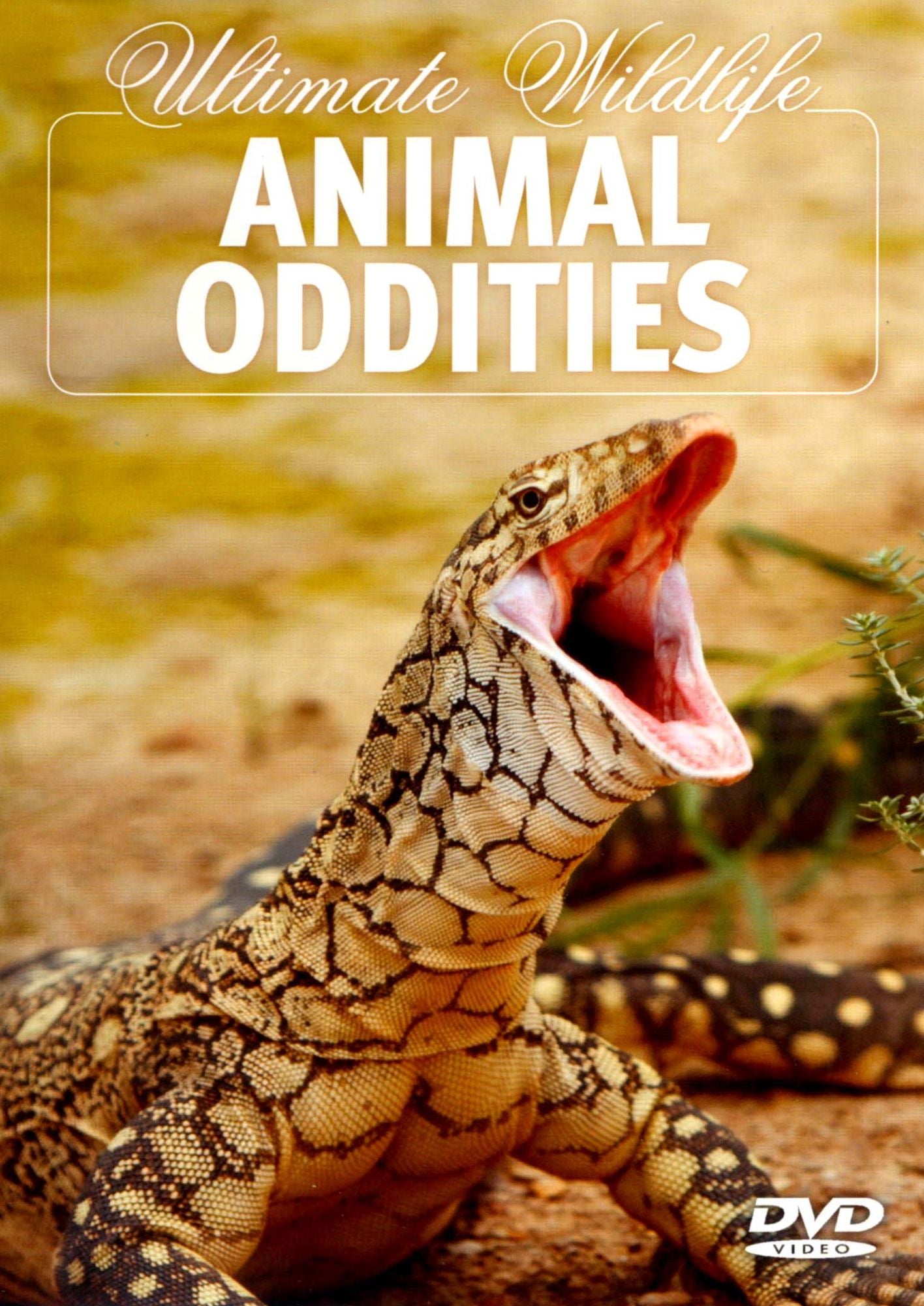 Ultimate Wildlife: Animal Oddities