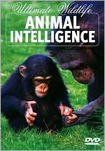 Ultimate Wildlife: Animal Intelligence