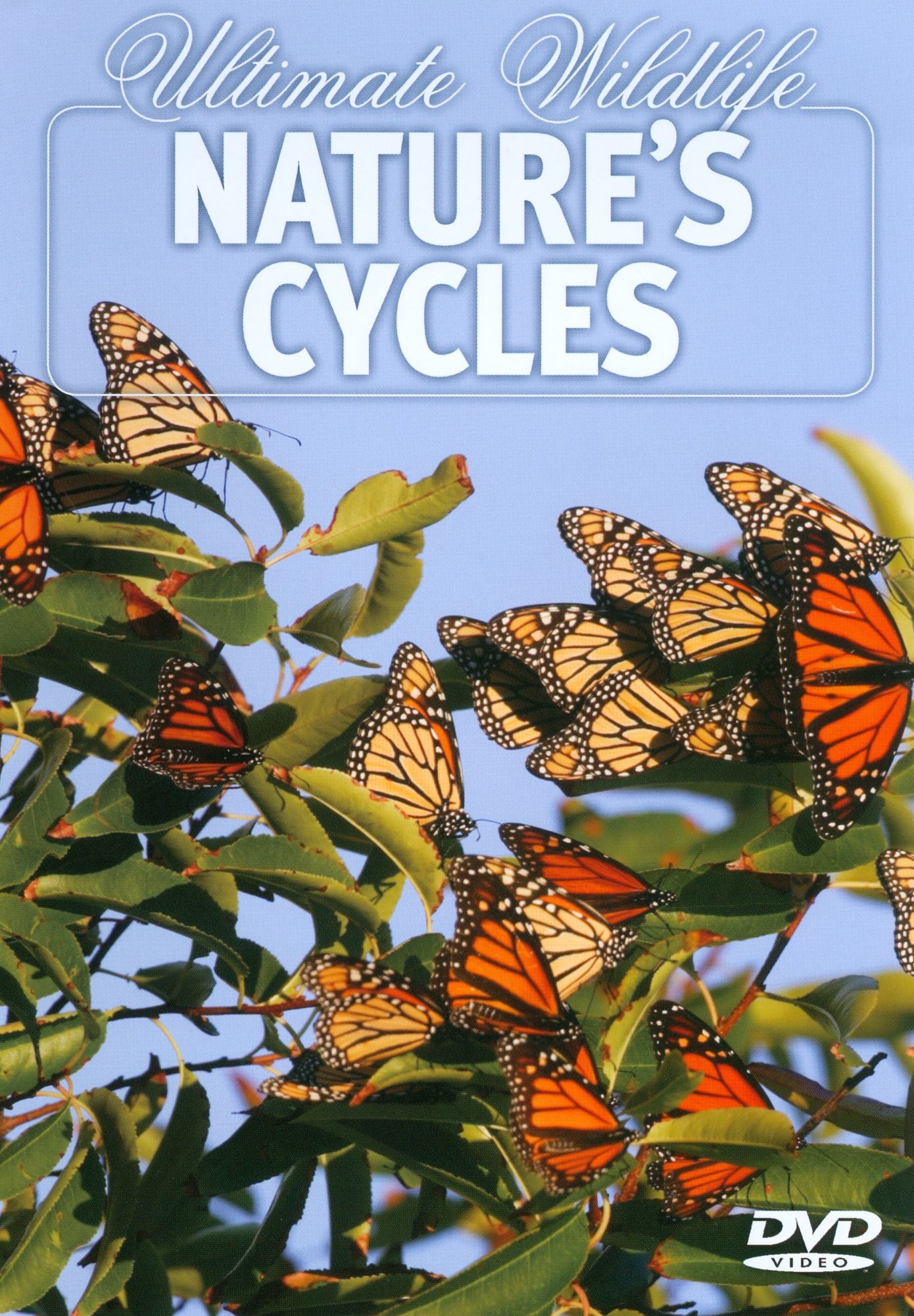 Ultimate Wildlife: Nature's Cycles
