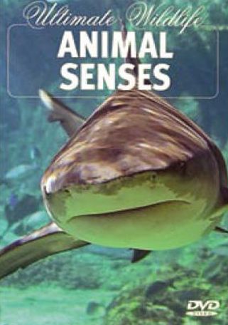 Ultimate Wildlife: Animal Senses