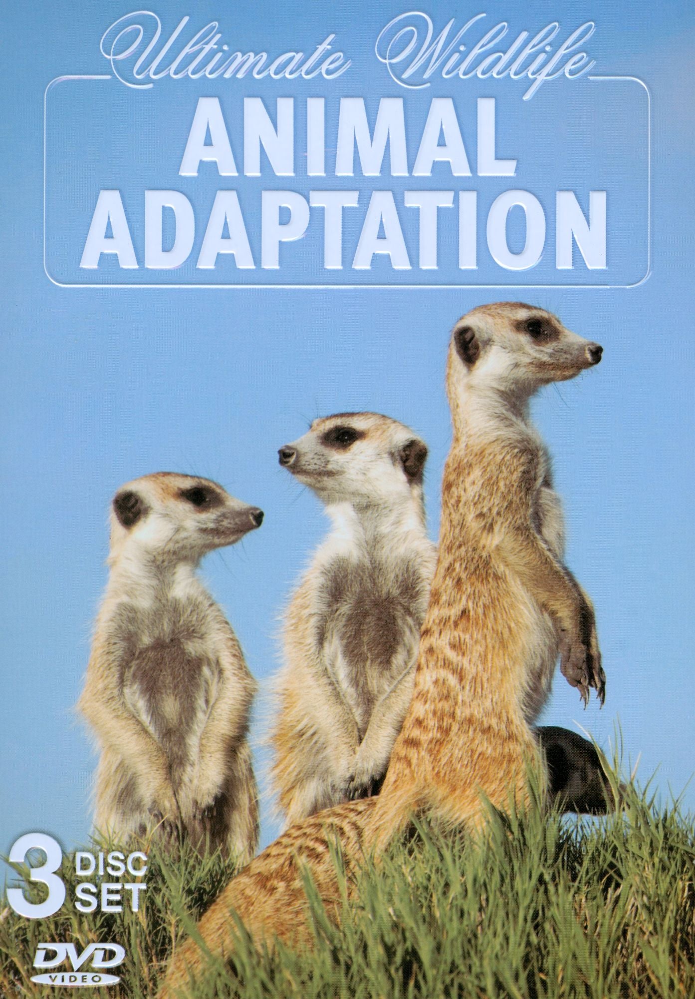 Ultimate Wildlife: Animal Adaptation [3 Discs]