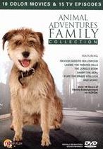 Animal Adventures Family Collection