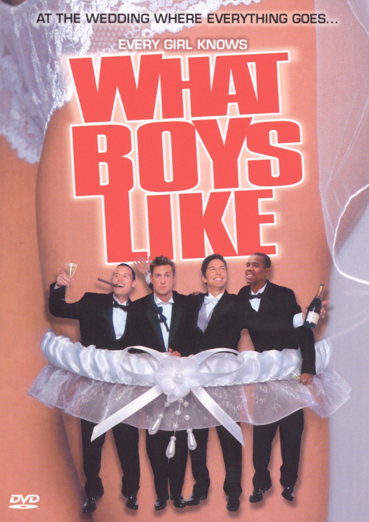 What Boys Like