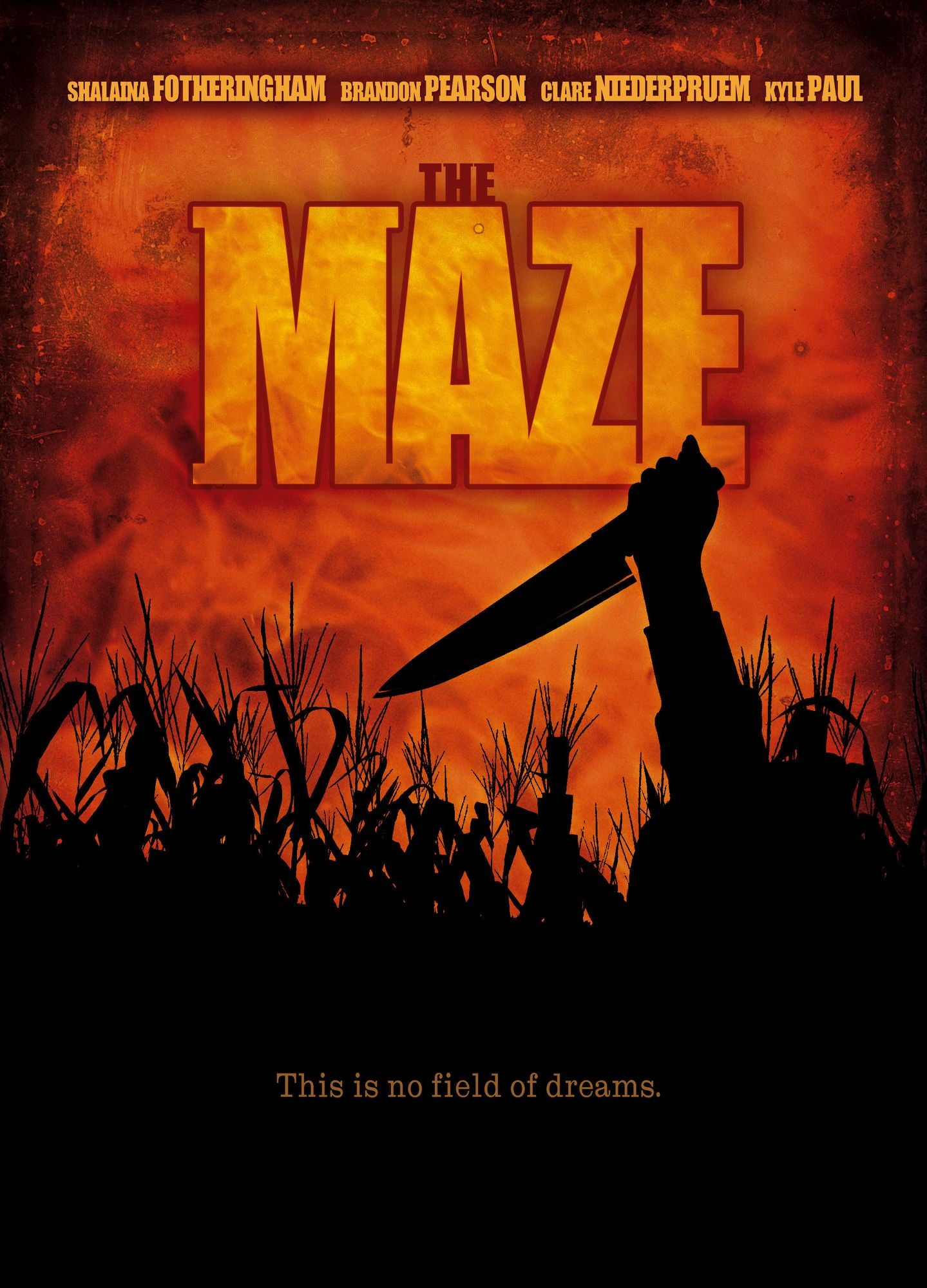 The Maze