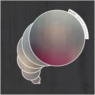 Oakland Blackouts/claustrophilia